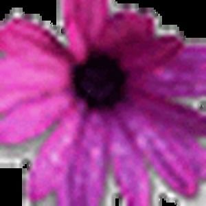 Meet your Posher, Kelley